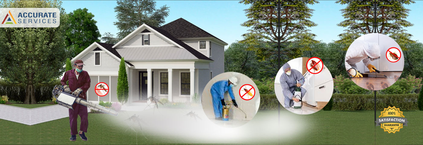 Accurate Services for Pest Control Services