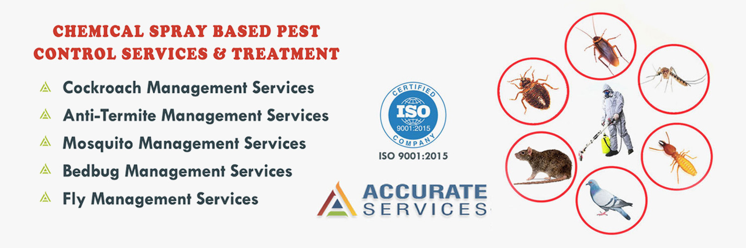 Accurate Pest Control Service Rajkot Gujarat India
