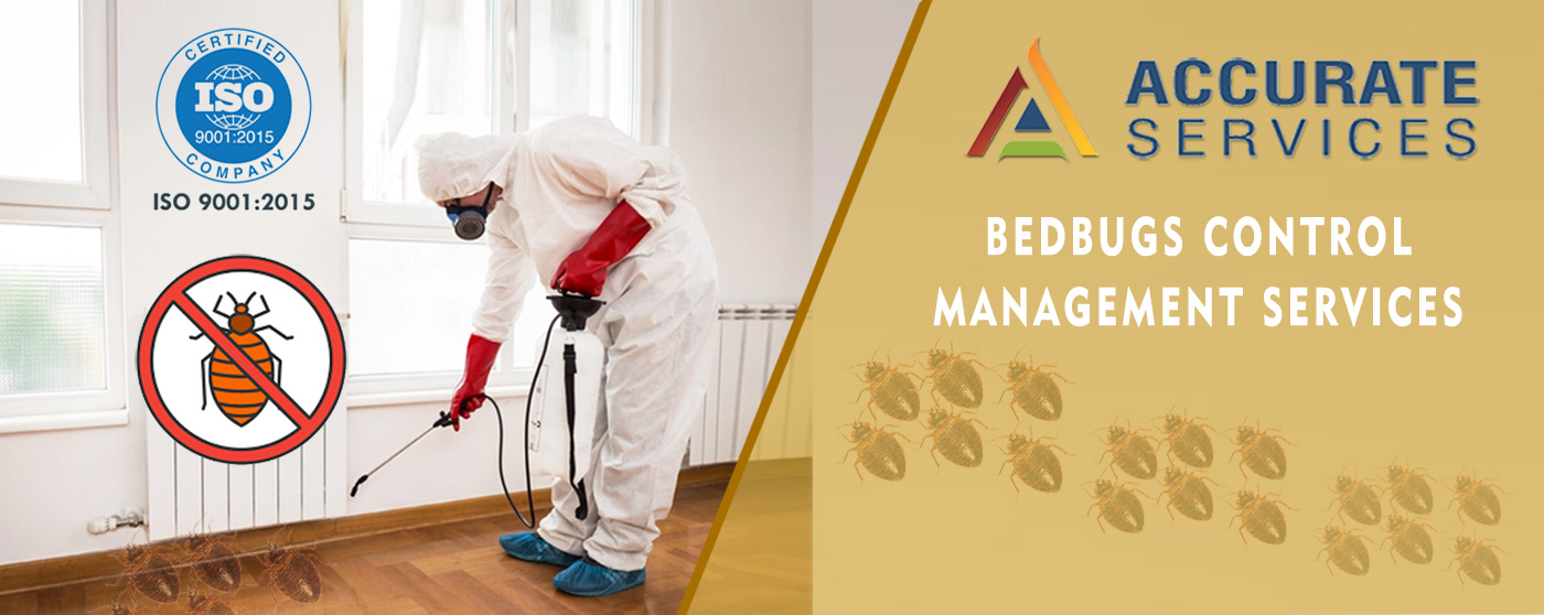Accurate Services for Pest Control Services