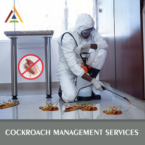 Cockroach Management Services Rajkot Gujarat India