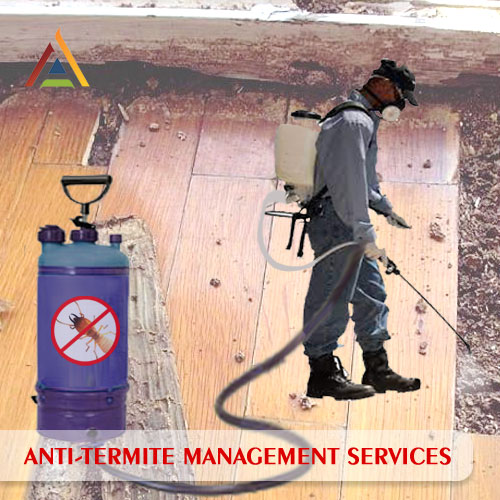 Anti-Termite Control Services Rajkot Gujarat India