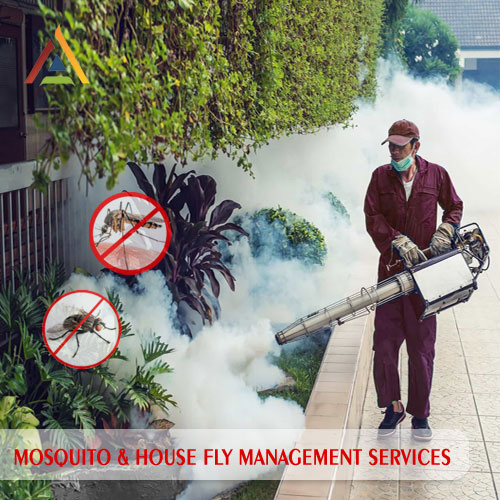 Mosquito and House Fly Control Services Rajkot Gujarat India