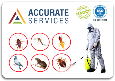 Residential - Commercial Pest Control Treatment Process Management Services Best Quality Best Price in Rajkot Gujarat India