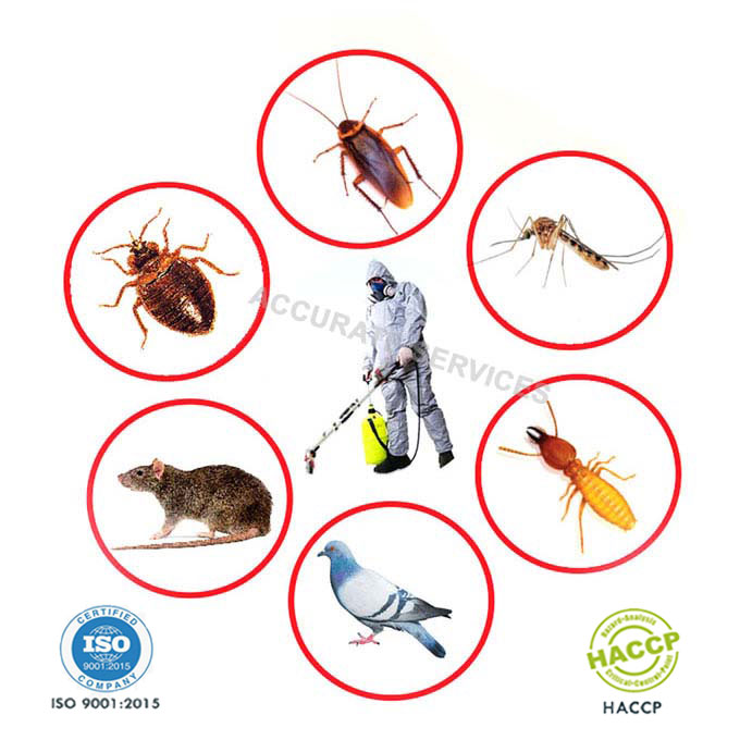 Pest Control Services Rajkot Gujarat India