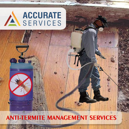 Anti-Termite Pest Control Services