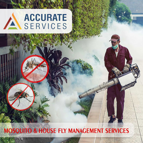 Mosquito - House Fly Insect Fogging Services