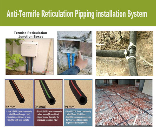 Anti-Termite Reticulation pipping System Service