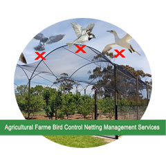 Agricultural-Farme Bird Control Services