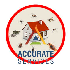 Accurate Services for House Protection Pest Control Treatment Process Services