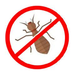Insect Control Management Services