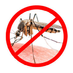Mosquitoes Control Treatment Services