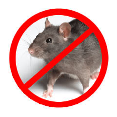 Rat-Mouse Control Management Services