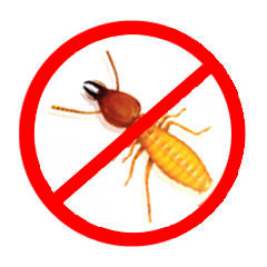 Anti-termite Control Treatment Process Services